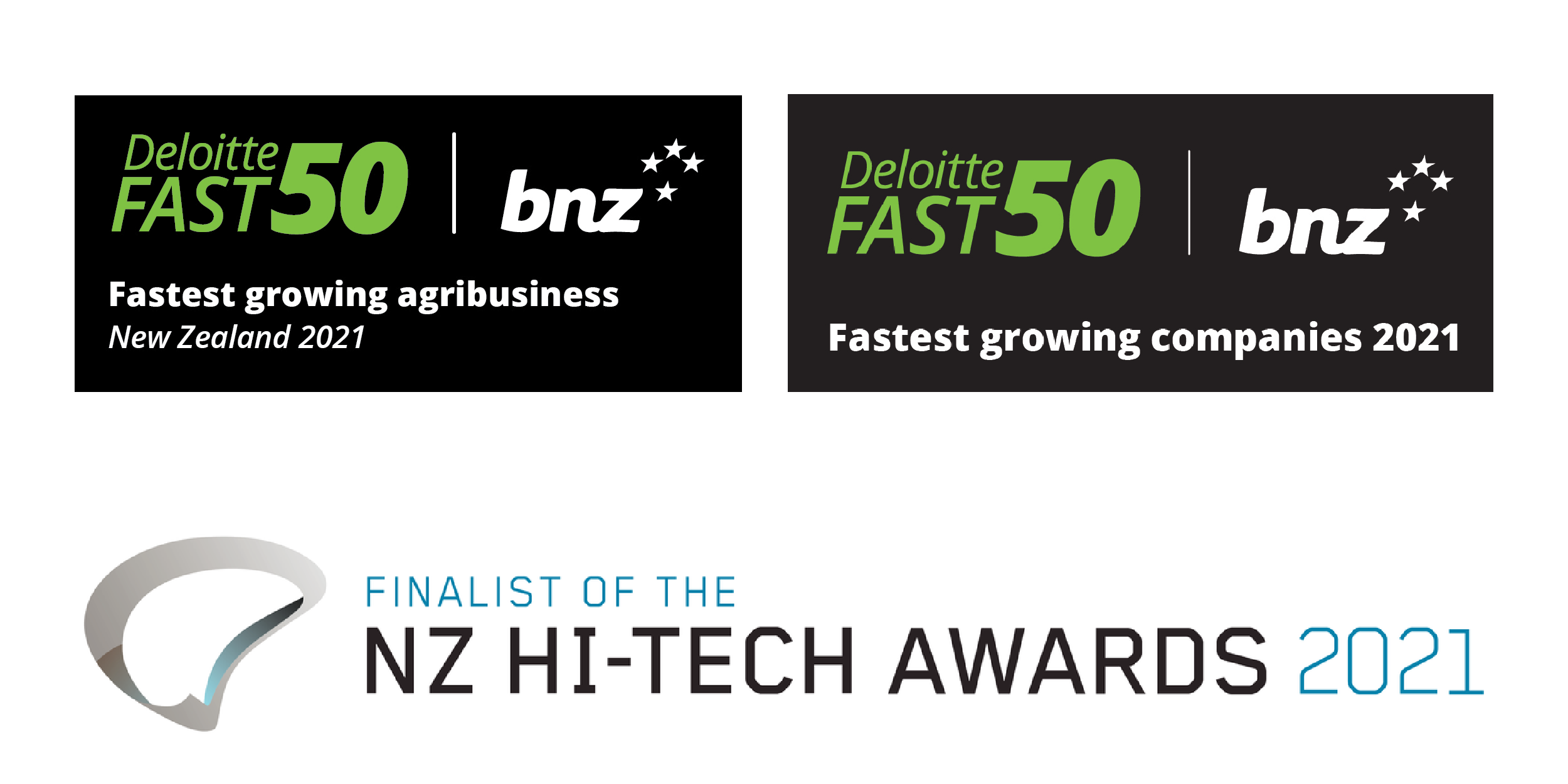 Awards - Deloitte and hi-tech